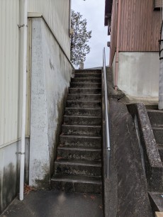 学芸員のまなざし