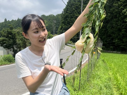 まったりオクオカ暮らし