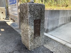 学芸員のまなざし