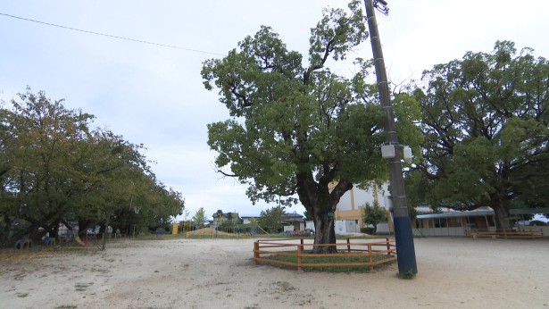 学校インタビューズ