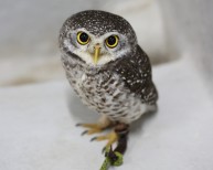 鳥羽水族館 もっと!水の惑星紀行