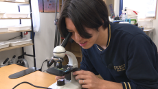 岡崎探検隊‼あれこれリサーチ