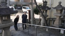 学芸員のまなざし