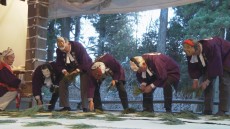 おまつりニッポン