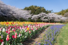 フォト旅はままつ　