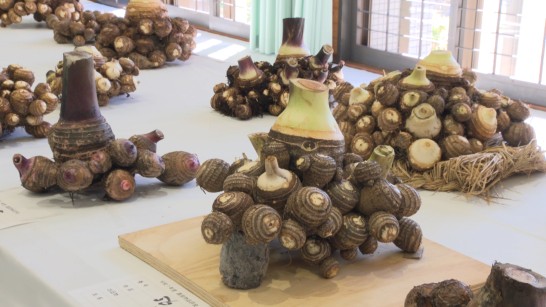 JAあいち三河広報番組「KONにちは！」