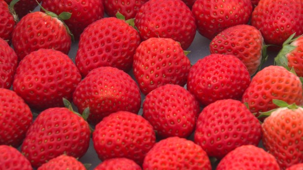 JAあいち三河広報番組「KONにちは！」