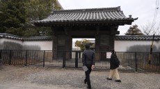 学芸員のまなざし