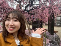 のんびり岡崎歩き 