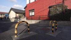 学芸員のまなざし