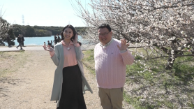 VIVA！知多半島