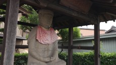 学芸員のまなざし
